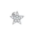 Edelstahl Stern Knorpel Piercing Stecker glänzend verziert mit klaren Zirkonia Steinen. - Stern-Stil / 1.2*6mm / Silber
