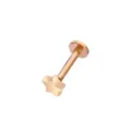Roségold Edelstahl Stern Labret Stud Ohr Piercing Körper Schmuck Zubehör Einheitsgröße - Stern-Stil / 1.2x10mm / Roségold