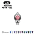 G23 titanium piercing sieraad met roze zirkoon en aangepaste kleur edelsteen opties. - Nr. 3 Roze / 1.2*6mm