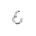 Anello da piercing in titanio segmento cerniera, grande formato spesso per corpo e setto. - Calibro 2,5mm / Diametro Interno 8mm / Titanio