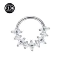 F136 Titan Zirkonia Septum Ring Segment Clicker Piercing Schmuck fur Damen und Herren - Stil 3
