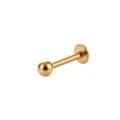 Goldener Labret-Stecker aus Edelstahl im Detail, elegantes Piercing für Ohr und Lippe. - 1.0x8x4mm / Gold