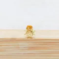 Piercing cartilage soleil doré en titane, bijou de corps élégant pour lèvre et oreille. - Tige 1.2*6mm / Style 2 Or