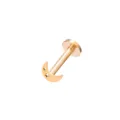 Roségold Edelstahl Mond und Stern Labret Piercing Stecker Ohrknorpel Körperschmuck - Mond Roségold / 1,2*4 mm M1,0