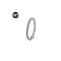 G23 titanium nose ring featuring purple cubic zirconia paved segment clicker body piercing. - 1.2x6mm / Silver Purple