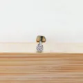 Titanium gefacetteerd plat top lip piercing stud lichaamsjuweel kraakbeen tragus piercing - 1.2x6mm / 2.5mm zilveren ronde kop