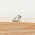 Titanium legering zirkonia kraakbeen tragus piercing knop met elegant strik ontwerp. - Strik Zilver