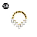 F136 Titanium Segment Ring Clear Baguette CZ Hinged Clicker Septum Piercing Body Jewelry - Style 24 Gold