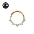 F136 Titanium Gold Cluster Septum Ring Hinged Clicker Cartilage Piercing Jewelry - Style 18 Gold