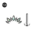 ASTM F136 Titan Piercing Schmuck 7 Marquise Stein Cluster Labret Ohrring Stecker Top - Buntes Katzenauge und bunter Zirkonia