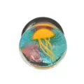 Glas Ohrstöpsel Tunnel mit 3D gelben Quallen Design, lebendige türkise Körperpiercing Schmuck. - 10mm / Hellgrün Orange
