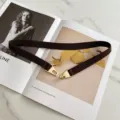 Brown elastic thin belt for women dress and sweater, elegant metal buckle waist accessory detail. - Black