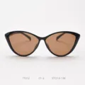 Vintage cat eye sunglasses for women, oversized black frame with brown lenses for styling. - Glossy Black with Tea Lenses C1-2