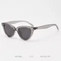 Detailed view of grey TR90 cat-eye polarized sunglasses, showing frame texture and temple specs. - Transparent Gray C12