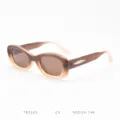 Detail view of brown gradient oval sunglasses with metal temple accent, retro style. - Jelly Gradient Tea C5