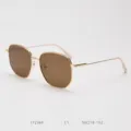 Polygon metal sunglasses detail shot, classic brown polarized lenses, stylish eyewear. - Frame / Brown Lenses C1