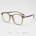 Montura de gafas graduadas TR90 ligera transparente verde estilo moderno para uso diario - Montura verde con patillas de carey C6