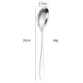 Crescent 304 stainless steel dinner spoon, mirror polished table spoon, 20cm long dining tool. - Natural Color Spoons