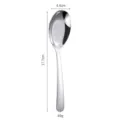 Stainless steel soup spoon, thickened Chinese style dinner spoon with size specs for home use. - Large (410 Stainless Steel) / Silver