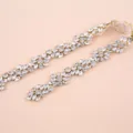Detailopname van sprankelende kristallen strass steentjes riem accessoire met gouden basis mode. - Goud