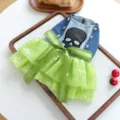 Stylish pet dog dress with denim top, green mesh tutu skirt, skull pattern and cute bow. - XS / Halloween Luminous Skeleton