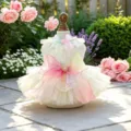 Closeup of cute pet tulle dress detail, featuring rainbow bow and lace tutu in garden setting. - XS / Rainbow Cream Mesh Dress