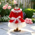 Vista detallada del vestido de princesa de terciopelo rojo para perros con encaje. - XS / Rojo