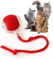 Interaktives rotes Katzenminze-Ballspielzeug mit robustem geflochtenem Seil für Katzen - Kein Wake-Up Drei-Stufen-Einstellung / Rot
