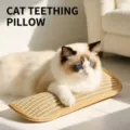 Tapis à gratter en sisal pour chat avec un joli chat Ragdoll - Coussin Cataire (Moyen) / 14x6cm