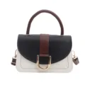 Stijlvolle kleurgeblokkeerde vrouwen crossbody tas zadelmodel met handvat en gesp. - Zwart
