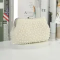 Elegant pearl beaded evening clutch bag with metal clasp for women party and wedding. - Square Head With Thicker Chain / Silver