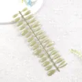 Detalle de uñas postizas verde salvia con efecto ojo de gato en una tira de exhibición. - Niebla Cian Suave Transparente
