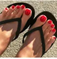 Effen rode neptennagels korte vierkante valse teennagels inclusief gelijm voor voeten. - Lijm Type / Rood