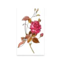 Colorful rose flower temporary tattoo sticker body art floral design waterproof fashion decors - K-537