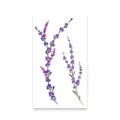 Watercolor lavender temporary tattoo sticker, waterproof floral body art decoration set. - Lavender (K-571)