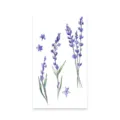 Watercolor lavender temporary tattoo sticker set, beautiful floral body art design options. - Lavender Petals (K-578)