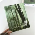 Green Forest Theme A5 Photocard Binder Hard Shell Loose-Leaf Idol Card Storage Album - Green Forest Card Album