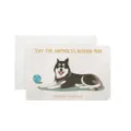 Grußkarte mit süßem Hundemotiv und Umschlag für Geburtstag Feiertag Wünsche und Geschenke - Husky (Mit Umschlag)