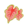 Tropical Caladium Plant Enamel Brooch Pink Green Leaf Alloy Badge Backpack Accessory - Pink And Green Caladium Style (C3554-1)