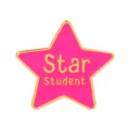 Pin de solapa de metal de estrella rosa estudiante lindo premio escolar accesorio bolso - Estilo Estrella Rosa (C3556-2) / C3556-2