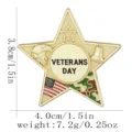Veterans Day metal star badge, military memorial brooch, golden finish with flag eagle. - C3405-1