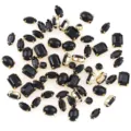Zwarte strass steentjes met gouden klauwtjes, diverse vormen voor DIY knutselen en kledingdecor. - Mocha Zwarte Mix