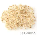 Natural dried daisy flower heads, stemless small star dried flowers for DIY craft decoration. - 600 Pieces/Pack (Bagged) / Natural