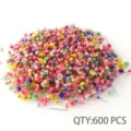 Natural dried flower heads colorful small star flowers DIY craft bulk pack 600pcs for resin art - 600 Pieces/Pack (Bagged) / Light-mix