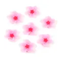 3D pink resin five-petal flower cabochons charms for nail art and phone case DIY decor. - 13mm (100 Pieces/Pack) / Pink Flowers with Red Stamen