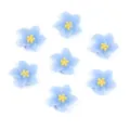 Light blue resin 5-petal flower DIY charms for nail art and phone case decoration. - 13mm (100 Pieces/Pack) / Blue Flowers with Yellow Stamen