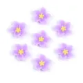 Colorful resin five-petal flower charms for nail art and phone case DIY accessories. - 13mm (100 Pieces/Pack) / Purple Flowers with Yellow Stamen