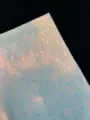 Close-up detail shot of holographic glitter specialty paper with seashell pattern for badges. - Ginkgo