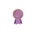 Purple enamel pin featuring award ribbon design with funny text. Perfect fashion brooch accessory. - Purple Medal (C1878-1)