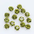 Runde olivgrüne Glas-Strasssteine mit silbernem Krallensockel zum Nähen an Kleidung. - 6mm (36 Stück/Packung) / Olivgrün